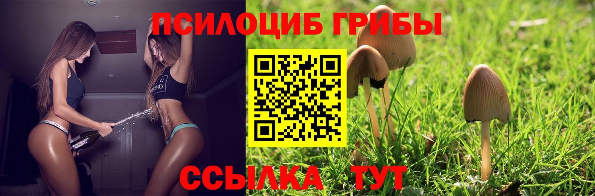 Галлюциногенные грибы ЛСД Тара